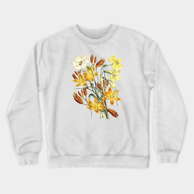 Yellow Flowers Crewneck Sweatshirt by Biophilia